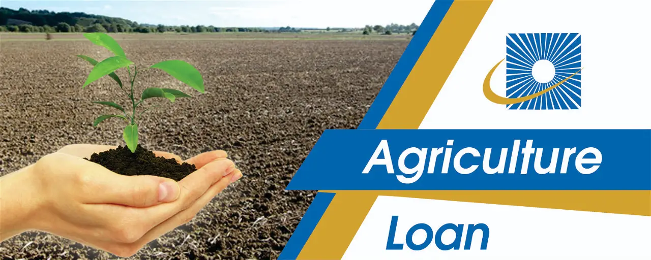 Agricultural Loans for Unemployed Youth